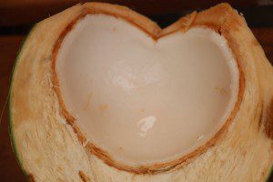 coconut heart