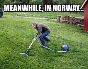 Vacuuming grass