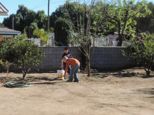 Brock & Brandon chores