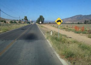 Hippo crossing