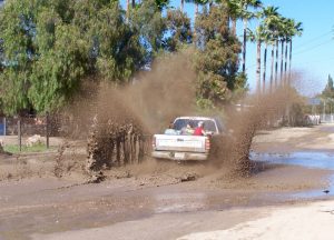 mudboggin