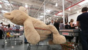 costco-bear